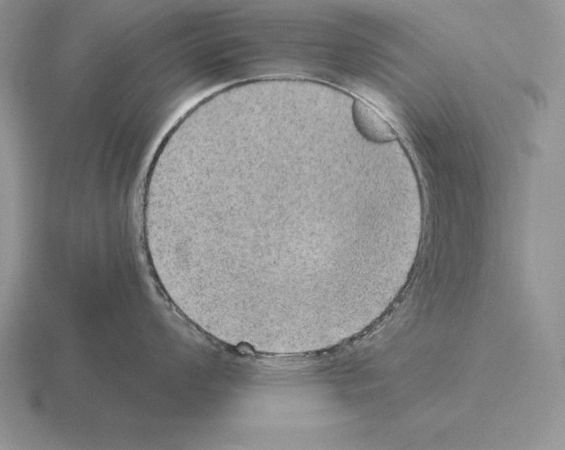 X0000115411008200912151537