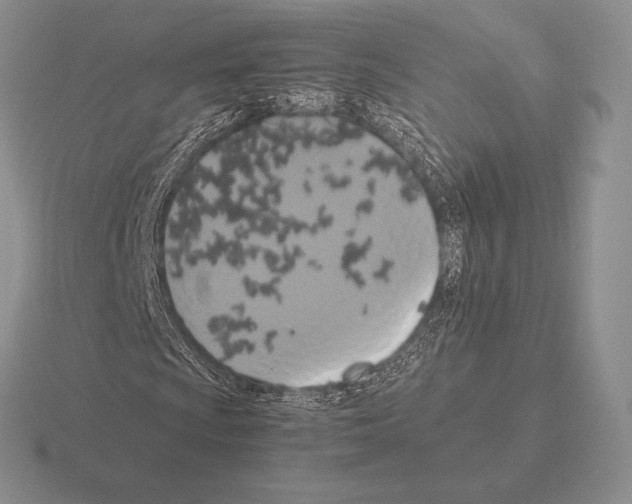 X0000115411009200912151536