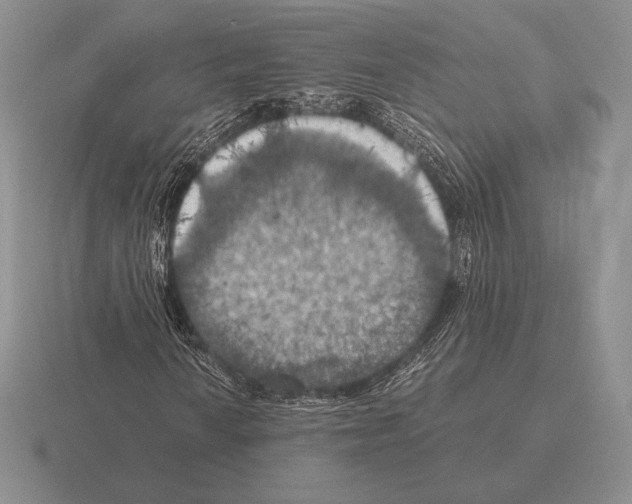 X0000115411010200912151536