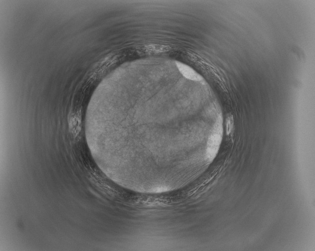 X0000115411011200912151537