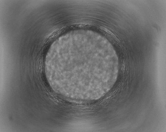 X0000115411014200912151537