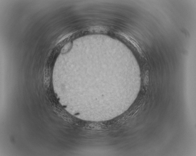 X0000115411015200912151537