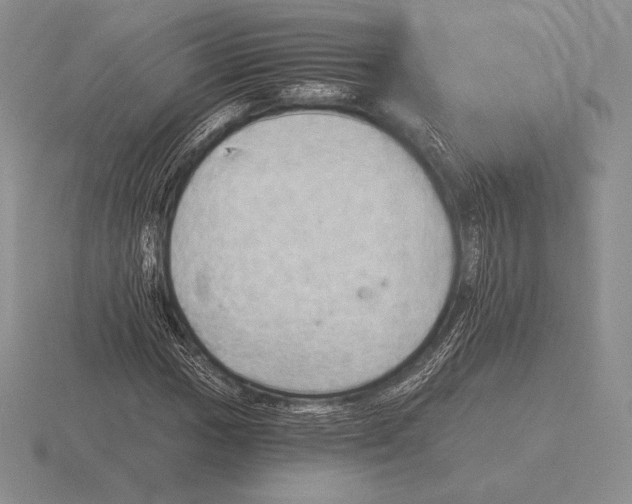 X0000115411017200912151537