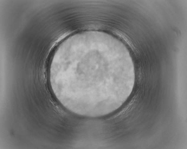 X0000115411018200912151537