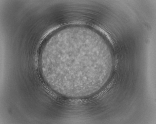 X0000115411019200912151537