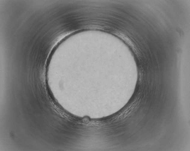 X0000115411020200912151537