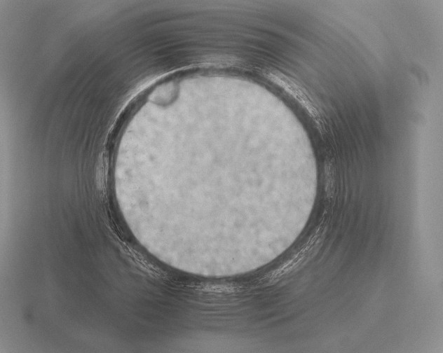 X0000115411021200912151537