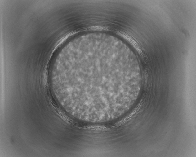 X0000115411023200912151537