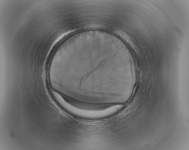 X0000115411024200912151537