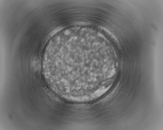 X0000115411025200912151537