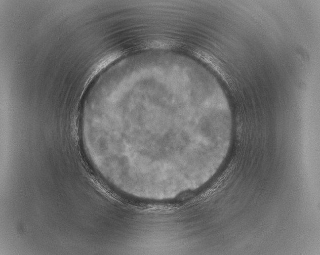 X0000115411026200912151537