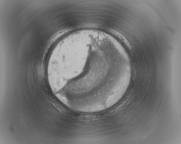 X0000115411027200912151537