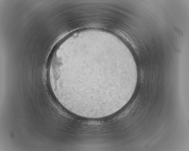 X0000115411029200912151537