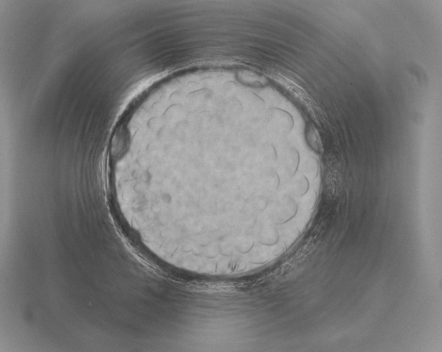 X0000115411030200912151537