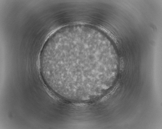 X0000115411031200912151537