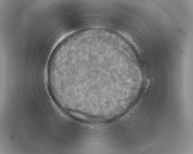 X0000115411032200912151537