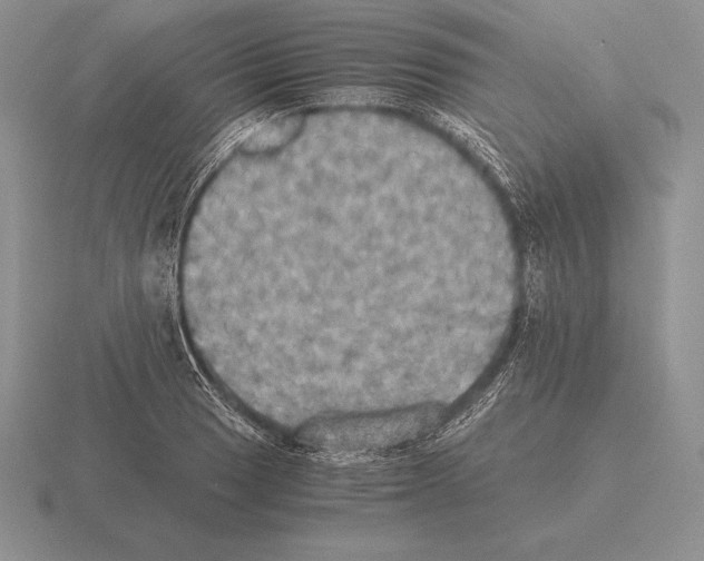 X0000115411033200912151537