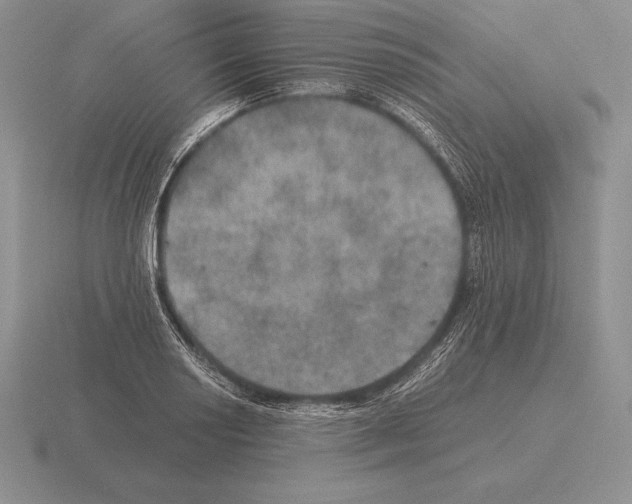 X0000115411034200912151537