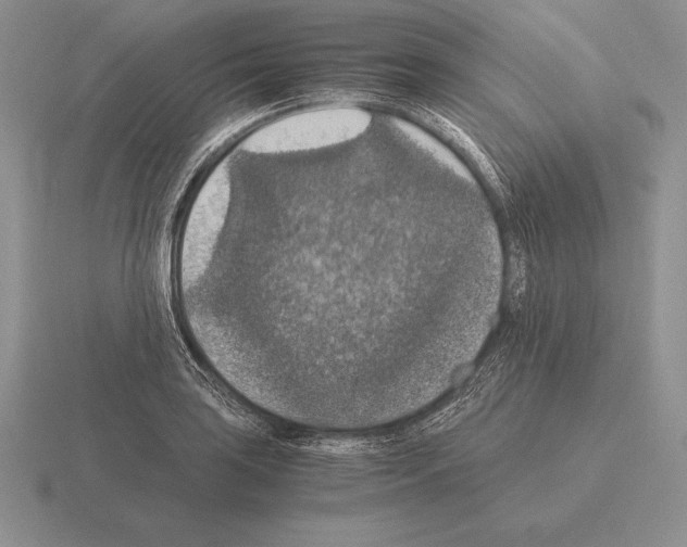 X0000115411035200912151537