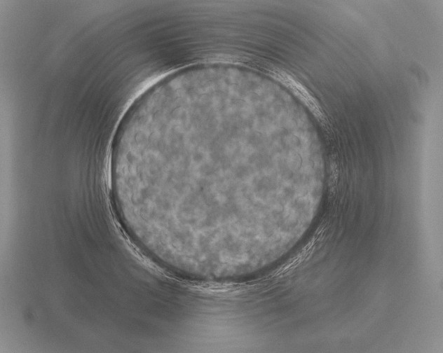 X0000115411036200912151537