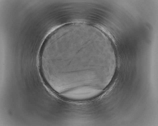 X0000115411037200912151537