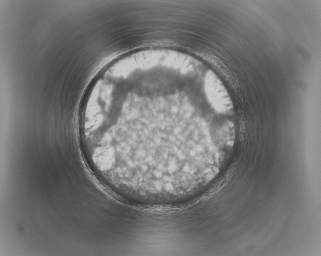 X0000115411038200912151537