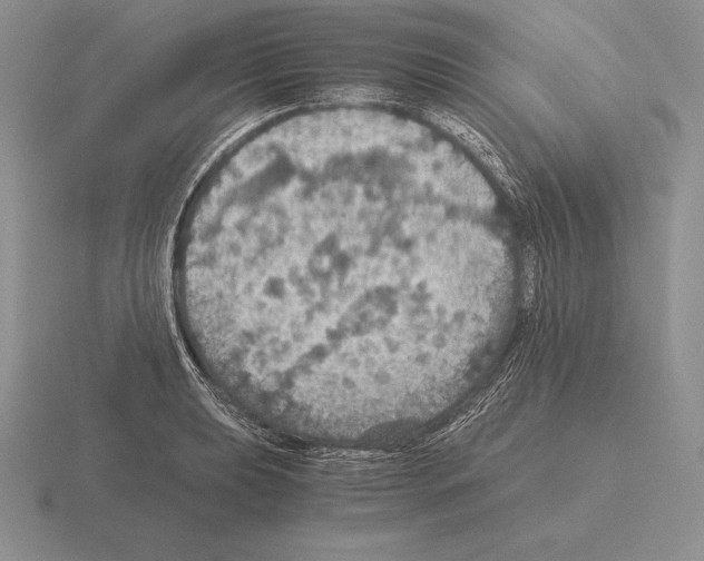 X0000115411039200912151537