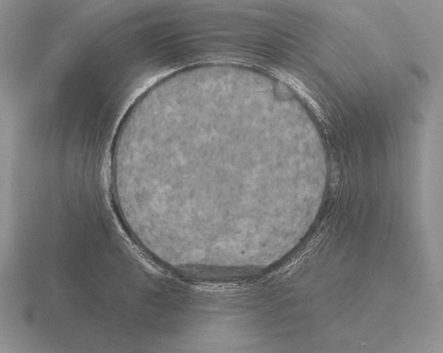 X0000115411040200912151537