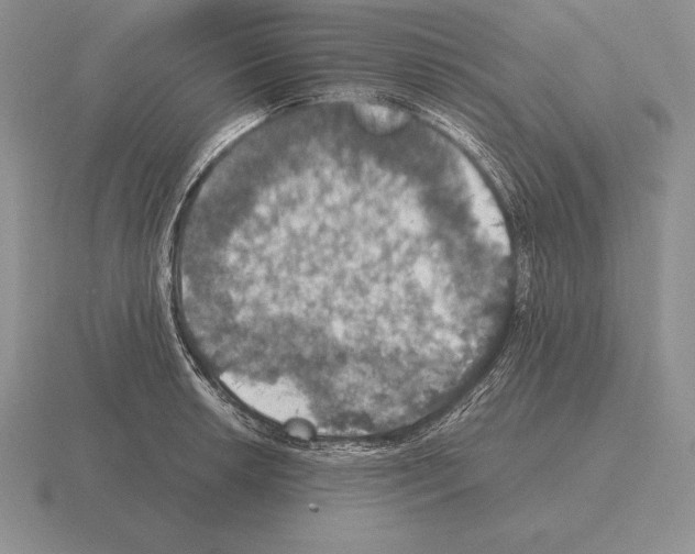 X0000115411042200912151537