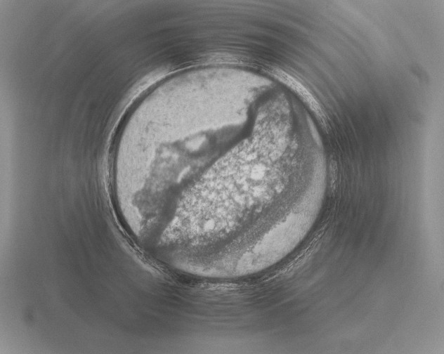 X0000115411043200912151537