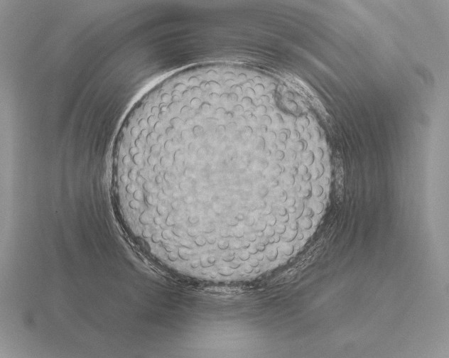 X0000115411044200912151537