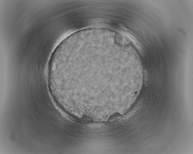 X0000115411046200912151537