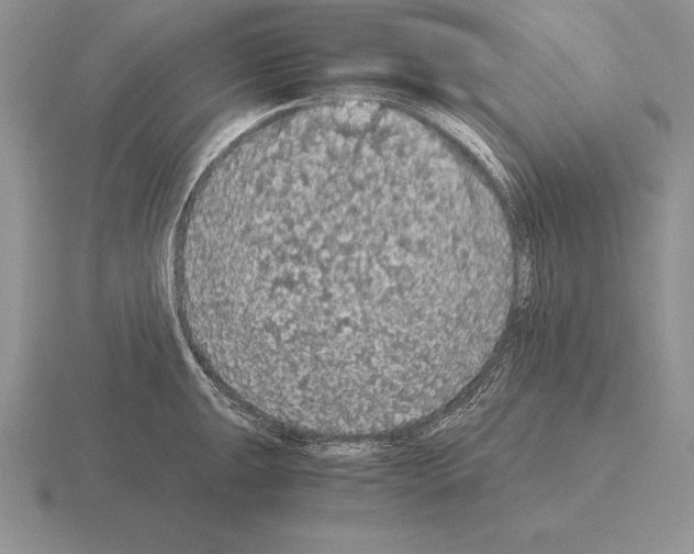 X0000115411047200912151537