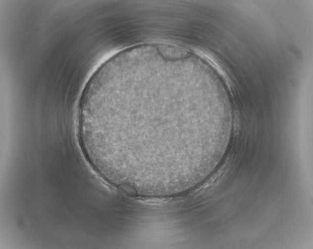 X0000115411048200912151537