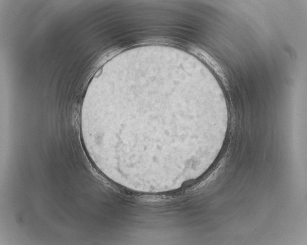 X0000115411049200912151537