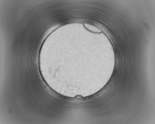 X0000115411050200912151537