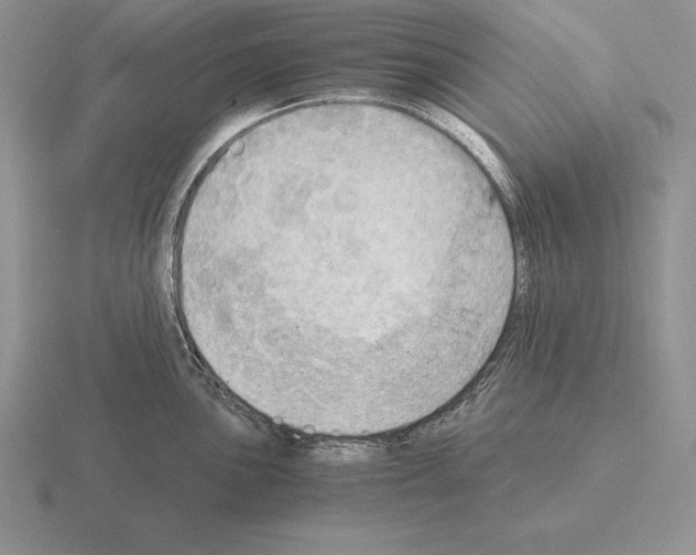 X0000115411051200912151537