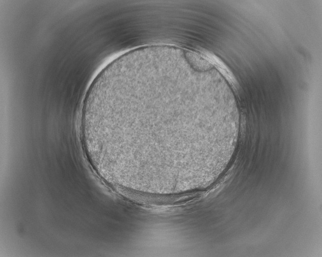 X0000115411052200912151537