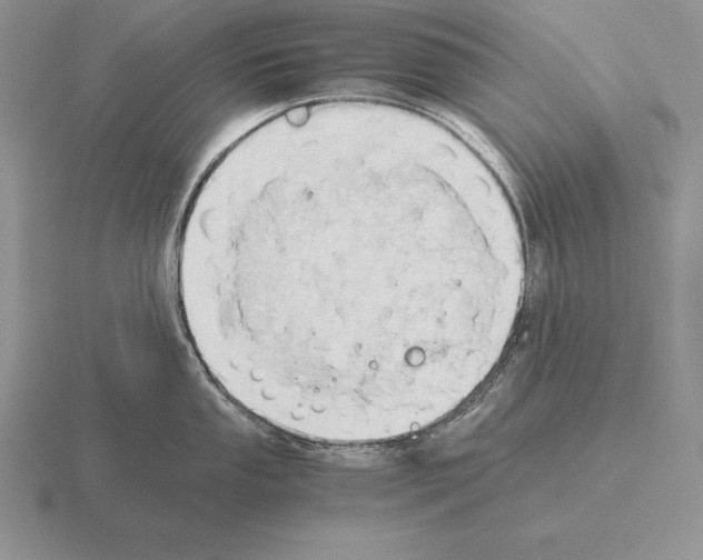 X0000115411053200912151537