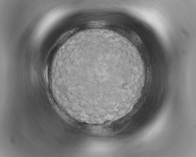 X0000115411054200912151537