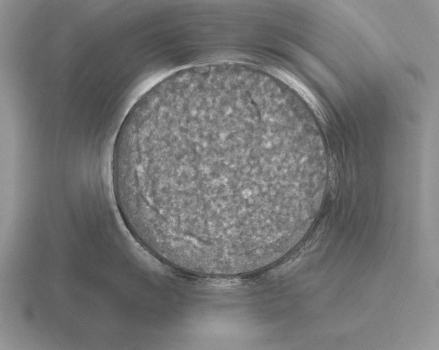 X0000115411055200912151537