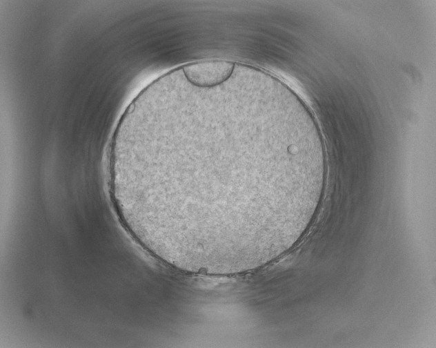 X0000115411056200912151537