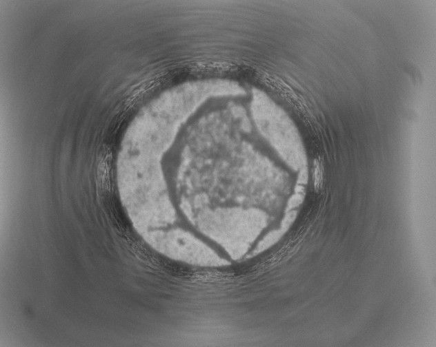 X0000115411059200912151536