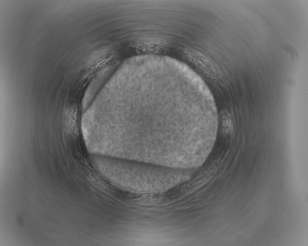 X0000115411060200912151536