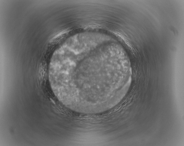 X0000115411063200912151536