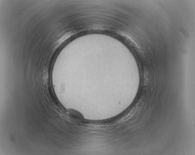 X0000115411065200912151536