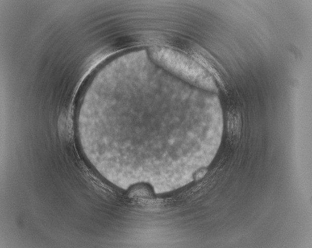 X0000115411068200912151536