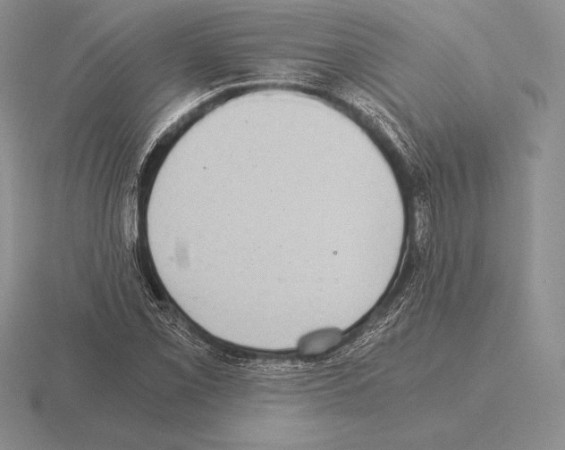 X0000115411069200912151536