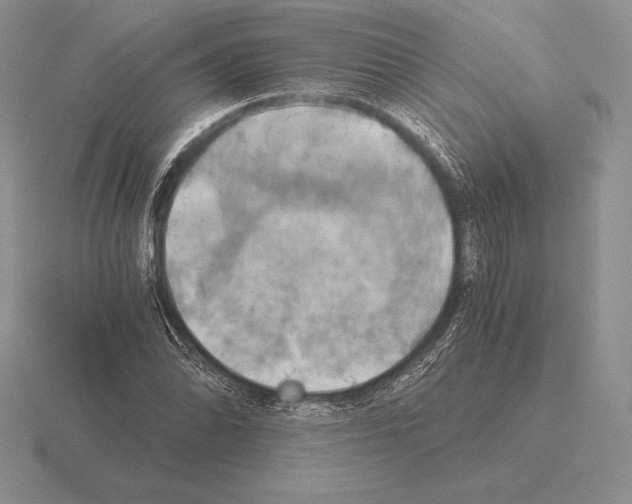 X0000115411070200912151536