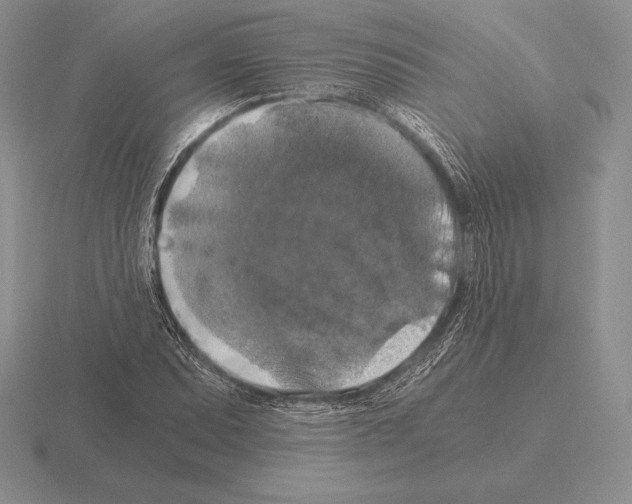 X0000115411071200912151536